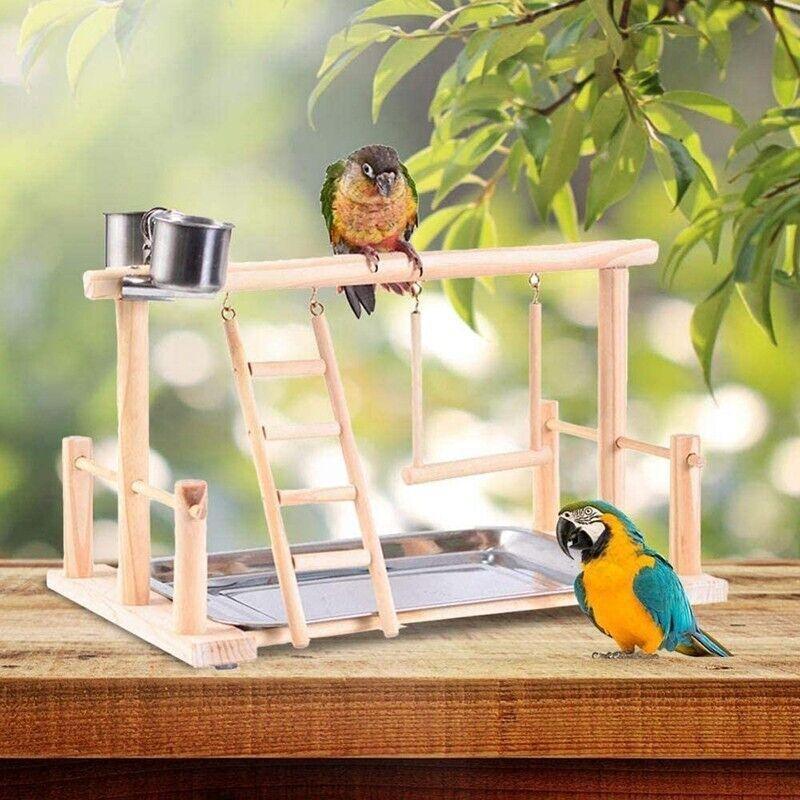 Parrots Wooden Stand Bird Play Activity Center Playground Ladder Perch Gym